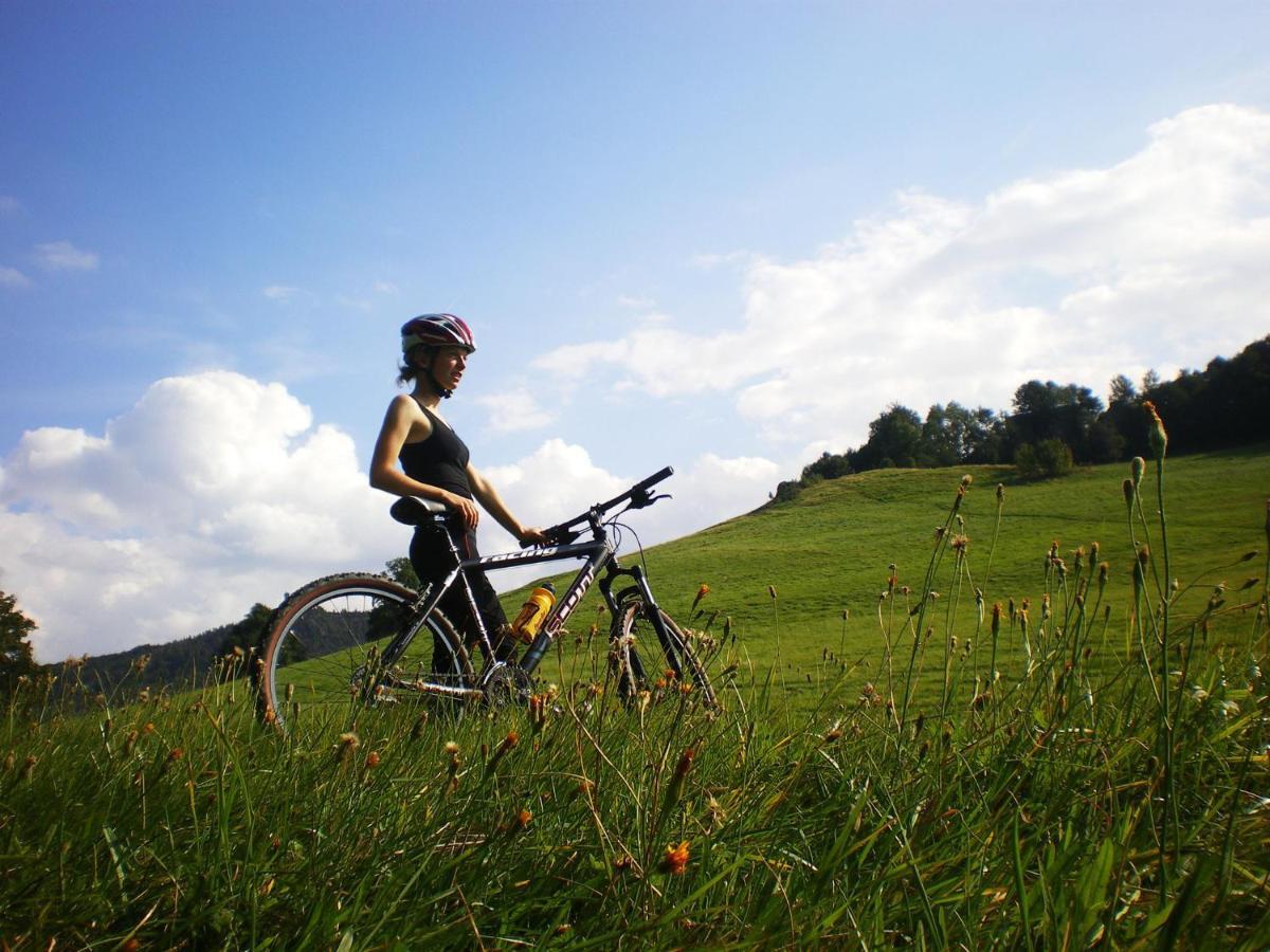 Wanderhotel Sonnebergbaude Waltersdorf  Exteriör bild